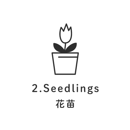 2.Seedlings 花苗