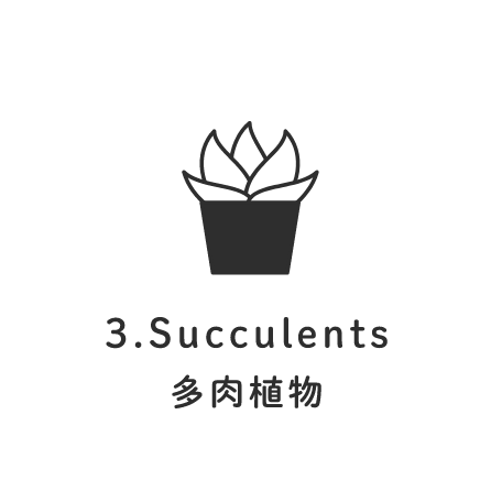 3.Succulents 多肉植物