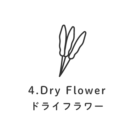 4.Dry Flower ドライフラワー