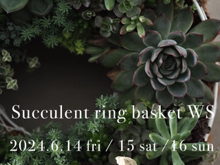 多肉植物のリングバスケットworkshop 6/14(金)・15(土)・16(日) 多肉植物のリングバスケットworkshop 6/14(金)・15(土)・16(日)
