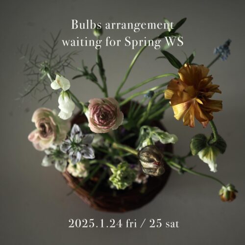 春を待つ球根たちのアレンジ workshop  1/24(金) ・1/25(土)