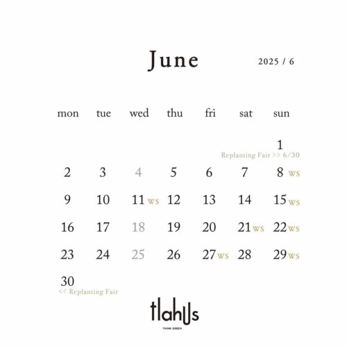 6月の予定