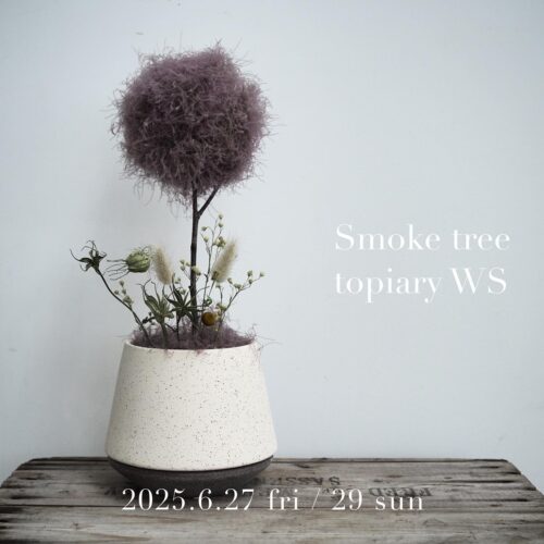 スモークツリーのトピアリーws 6/27(金)・6/29(日)