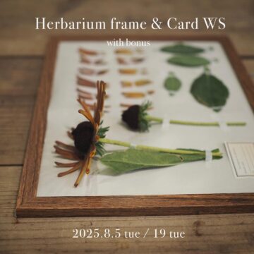 植物の標本フレーム & 標本カードworkshop 8/5(火)・8/19(火)