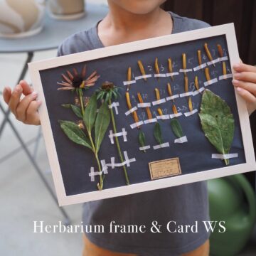 植物の標本フレーム & 標本カードworkshop　8/19(火)