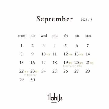 9月の予定