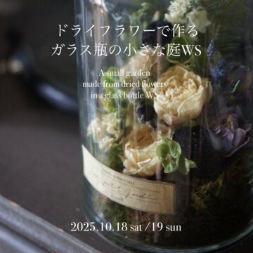 ドライで作るガラス瓶の小さな庭workshop 10/18 (土)・10/19(日) ドライで作るガラス瓶の小さな庭workshop 10/18 (土)・10/19(日)