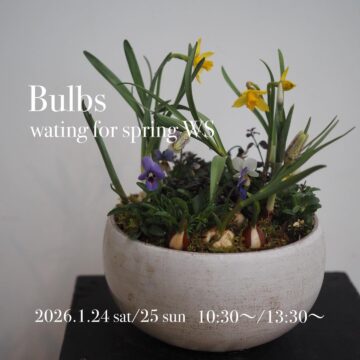 春咲き球根と春の寄せ植えws 1/24（土）・1/25（日）