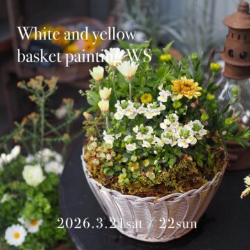 春のバスケット寄せ植えws 3/21（土）・22（日）