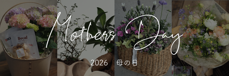 母の日
