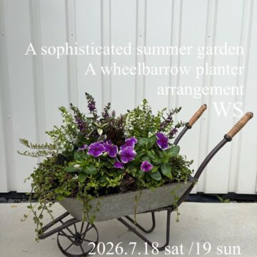 大人夏庭。白紫にグリーンを添えて一輪車の寄植えws 7/18（土）・19（日）