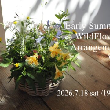 初夏の野に咲く花摘みアレンジメントws　7/18（土）・19（日）
